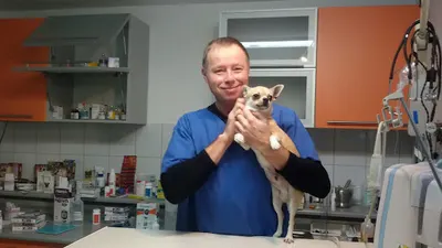 Weterynarz Ełk" Microwet" Leczenie zwierząt Baranki Ełk